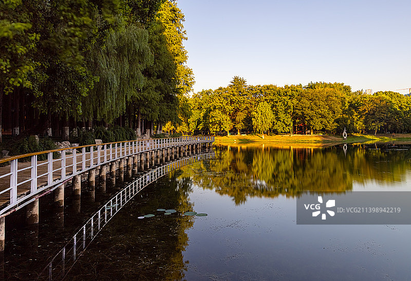 秋天湖边的树顶着天空图片素材