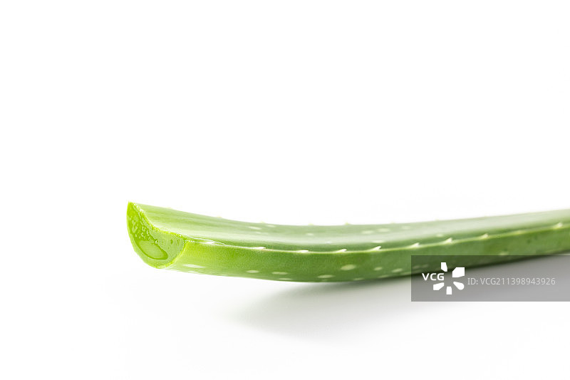 白色背景中新鲜的芦荟叶子图片素材