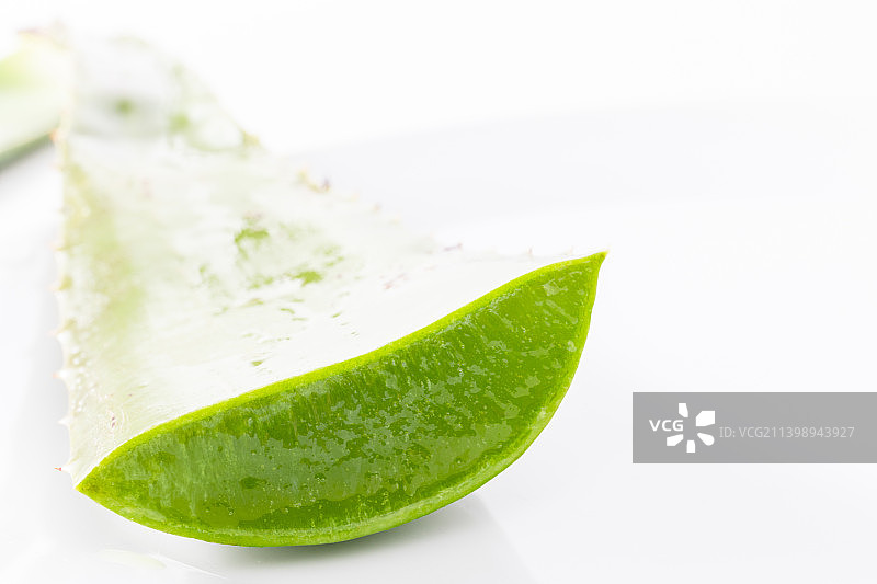 白色背景中新鲜的芦荟叶子图片素材