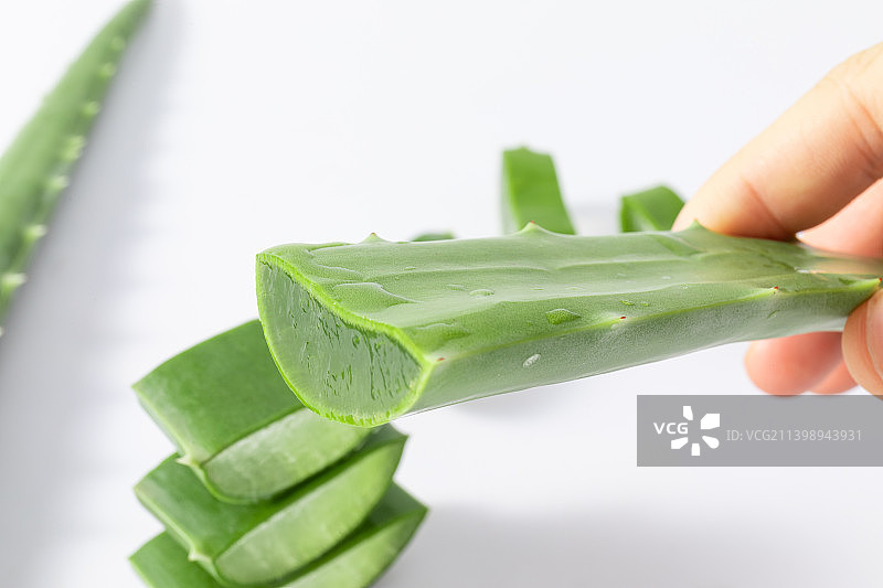 白色背景中新鲜的芦荟叶子图片素材