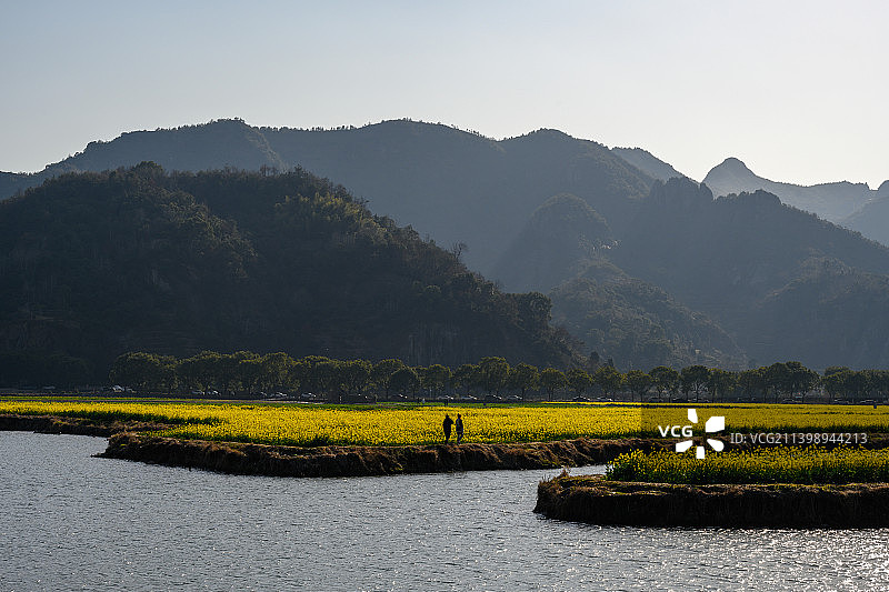 浙江台州桃渚古城油菜花和行人图片素材