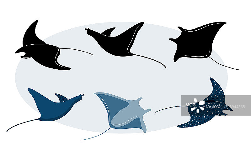 黄貂鱼轮廓和风格化蝠鲼图片素材