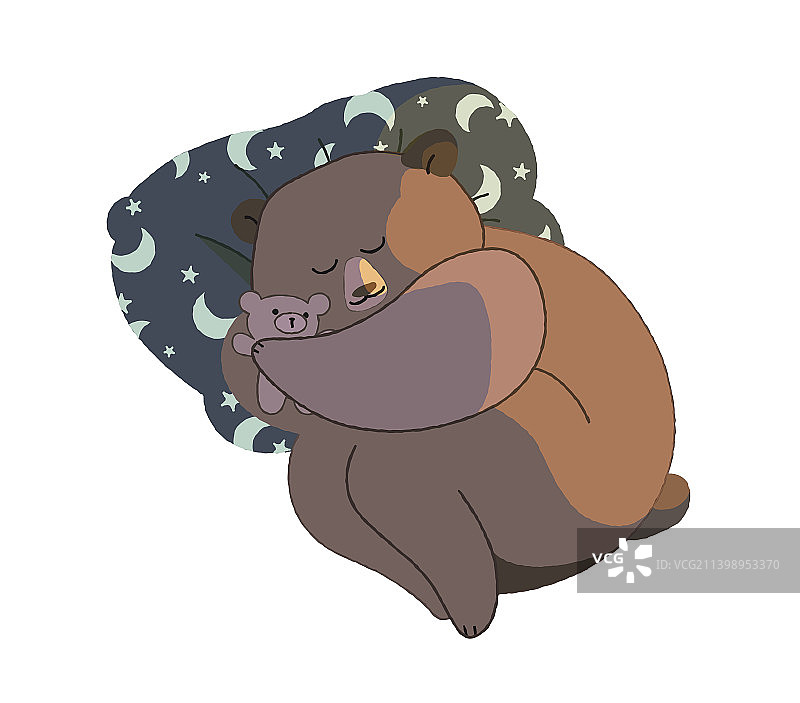 冬季睡眠：棕熊冬眠图片素材