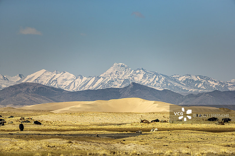 中国西藏日喀则仲巴县雅江源喜马拉雅山脉与牦牛图片素材