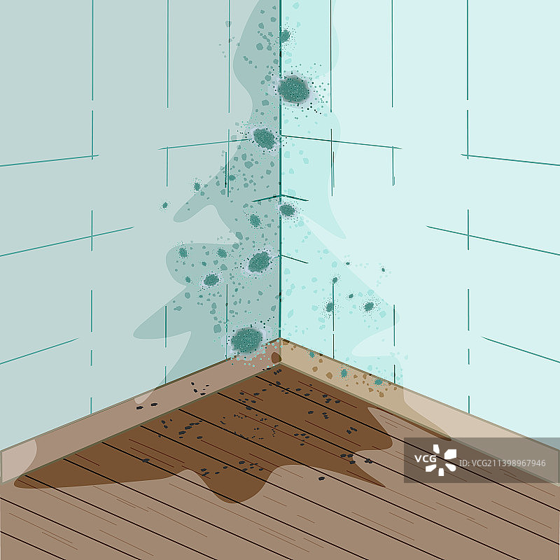 墙壁和地板上的霉菌，浴室墙壁上的霉菌图片素材