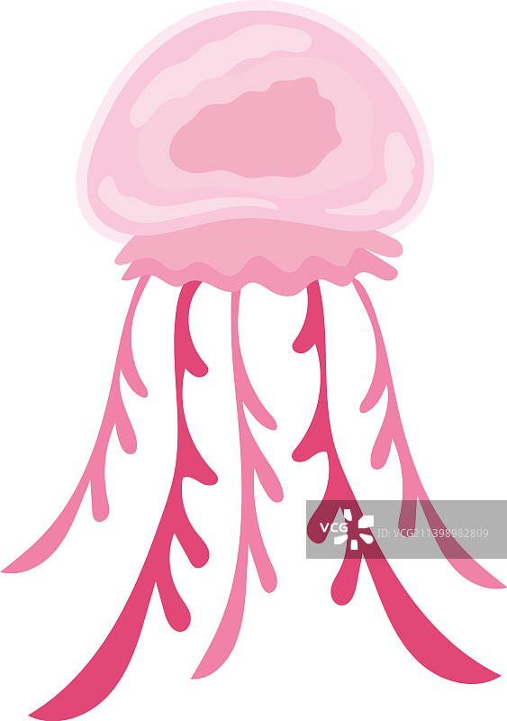 粉色海洋生物：水母图片素材