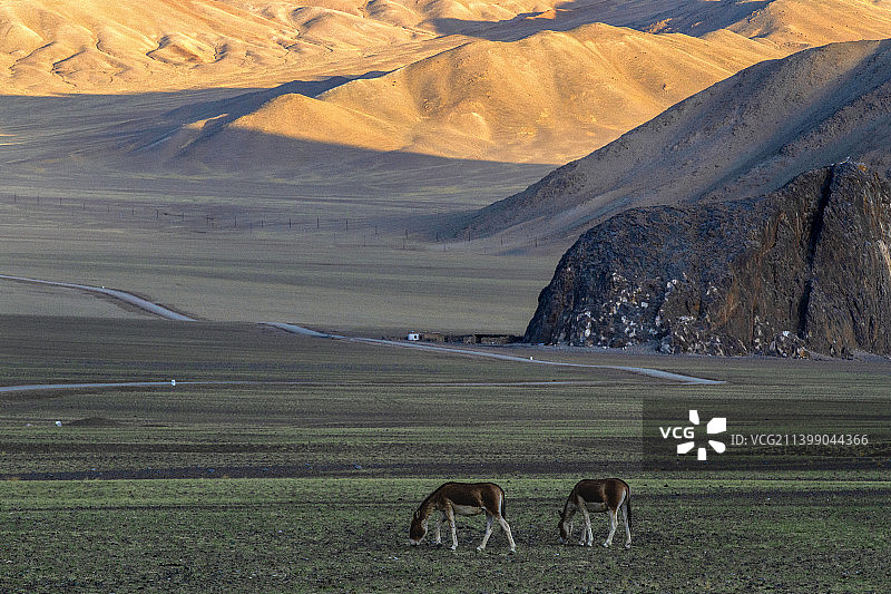 狮泉河国家湿地公园图片素材