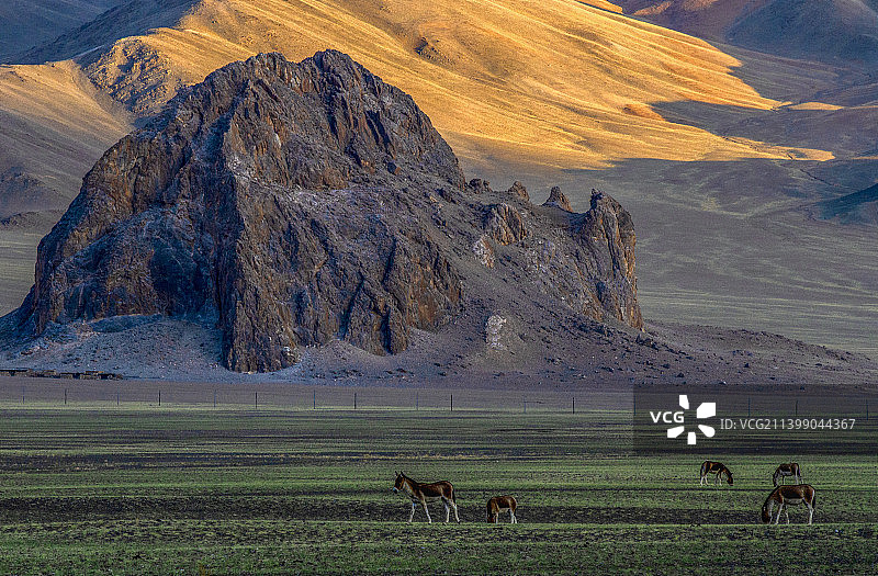 狮泉河国家湿地公园图片素材