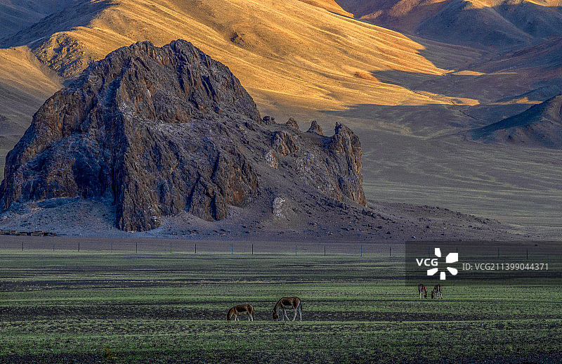 狮泉河国家湿地公园图片素材