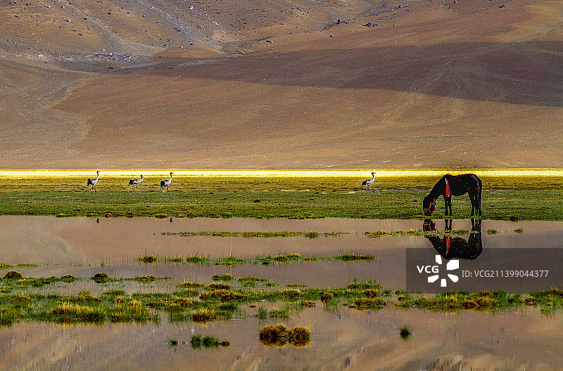 狮泉河国家湿地公园图片素材