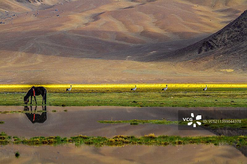 狮泉河国家湿地公园图片素材