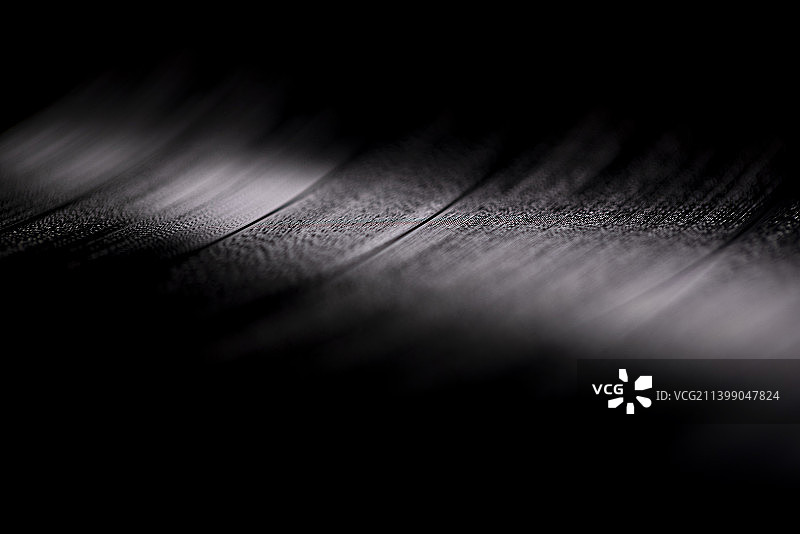 黑胶唱片图片素材