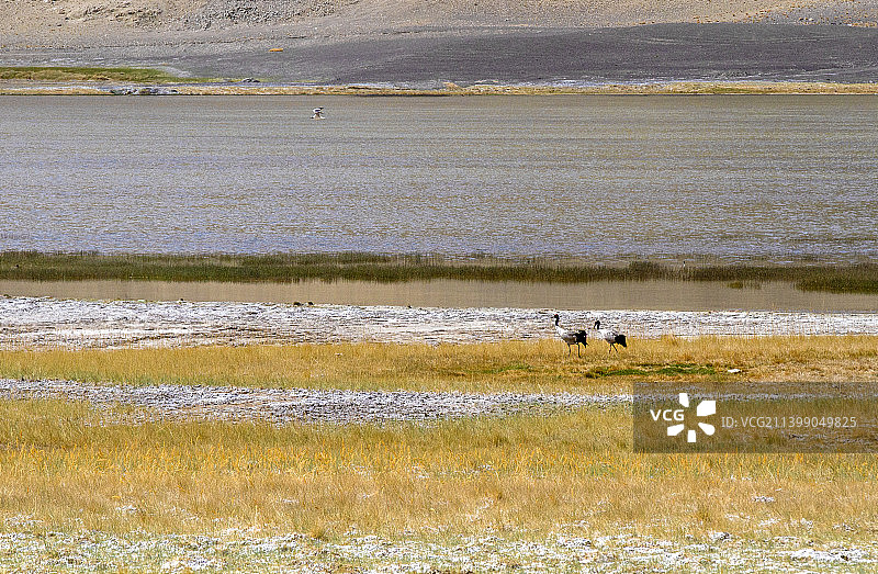 G219阿里狮泉河镇到日土县沿途风光图片素材