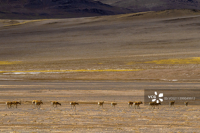 G219阿里狮泉河镇到日土县沿途风光图片素材