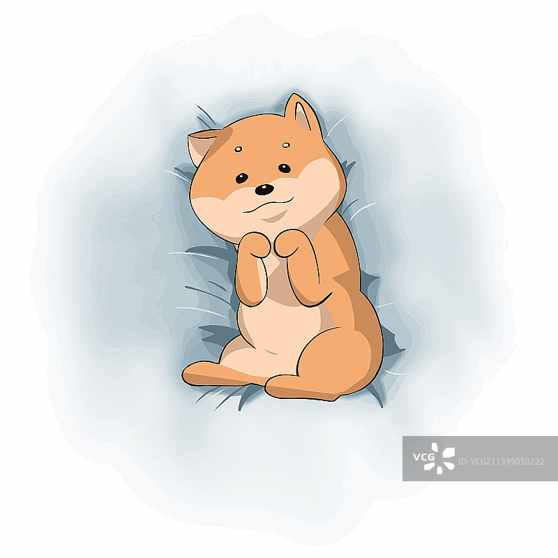 躺在床上露出肚子的可爱柴犬图片素材