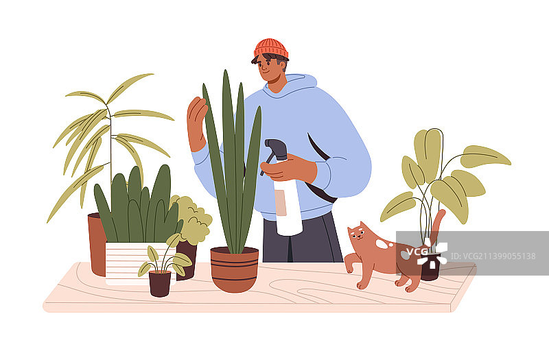 男人照料盆栽植物图片素材