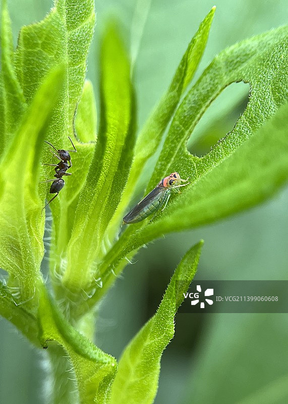 各行其道图片素材