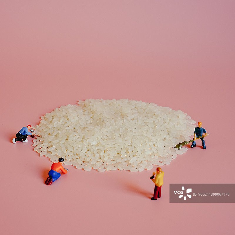 丰收大米 微缩世界  粮食  农业 五谷杂粮图片素材