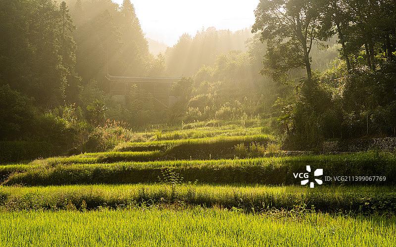 厦地村晨光图片素材