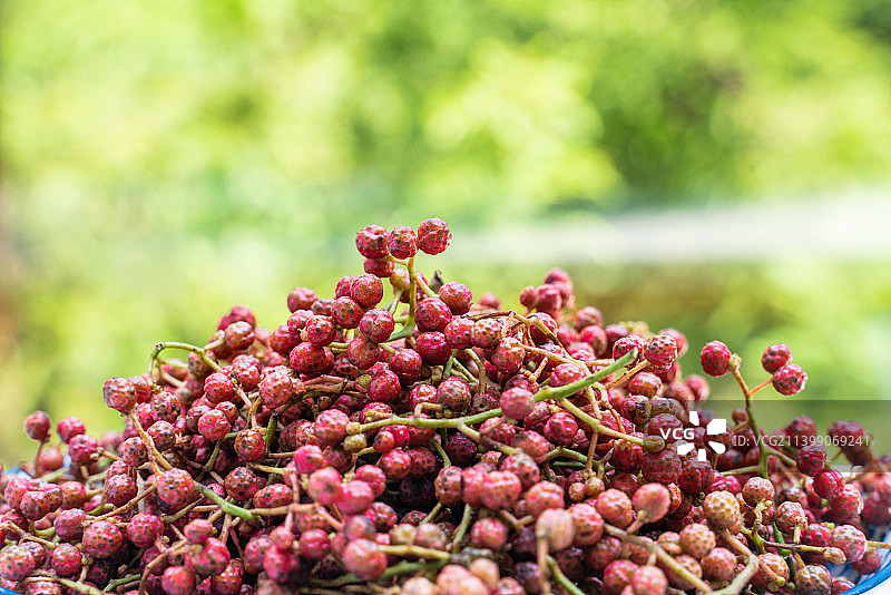 新鲜的红花椒图片素材
