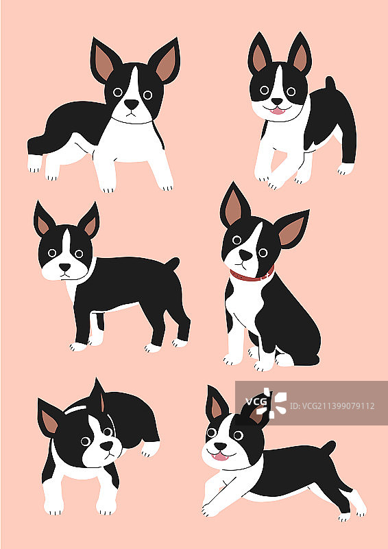 宠物，狗，法斗图案图片素材