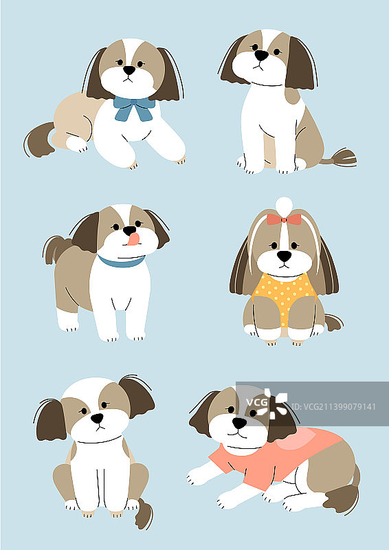 宠物、狗、图案：西施犬图片素材