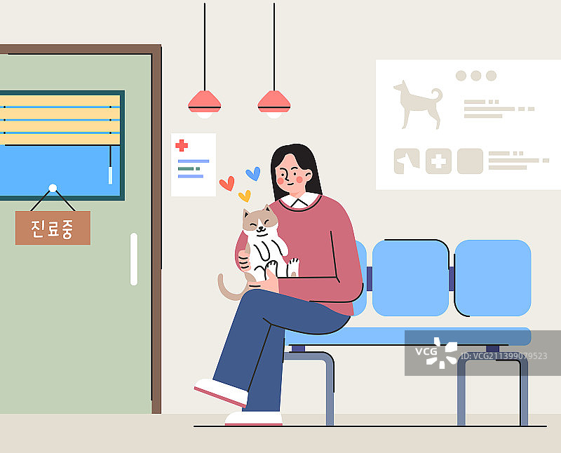兽医医院，伴侣动物，猫，检查，等待图片素材