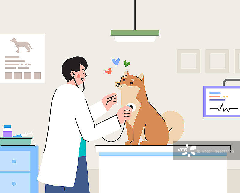 动物医院宠物狗体检图片素材