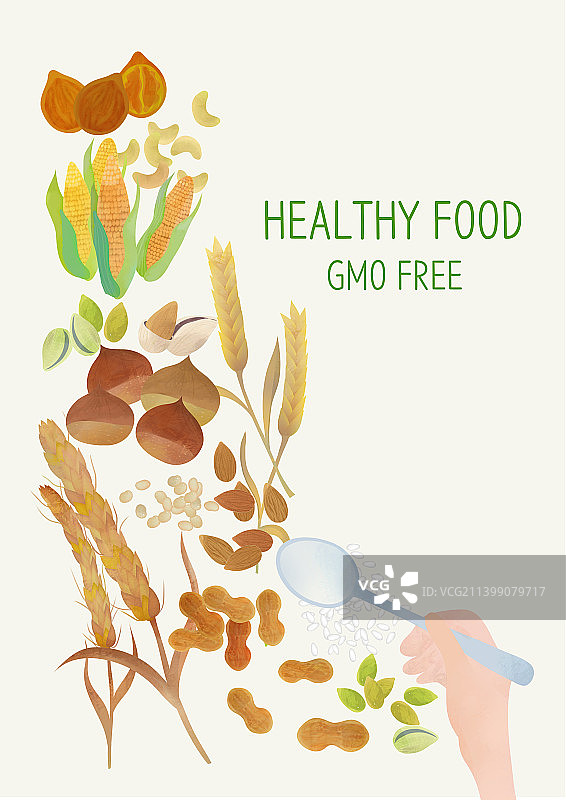 健康食品：健康生活，健康护理，蔬菜，勺子，玉米，大麦，坚果，有机食品图片素材