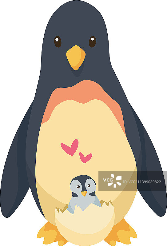 企鹅母子图片素材