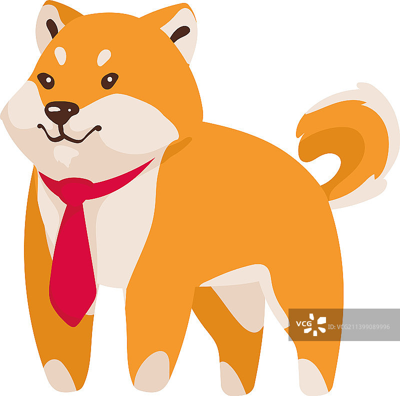 戴领带的柴犬图片素材