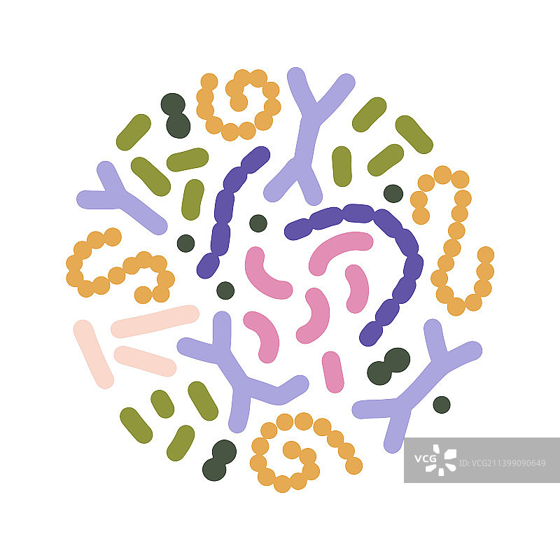 圆形双歧杆菌概念图片素材