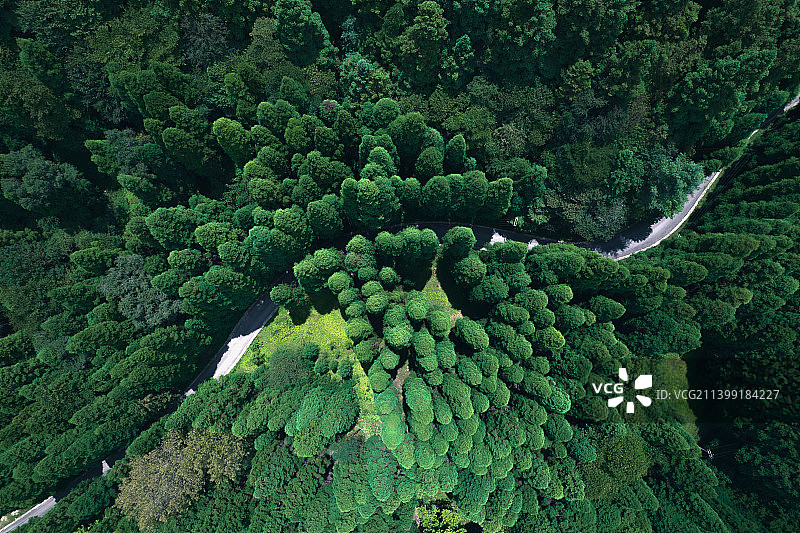 安顺市平坝区大坡林场图片素材