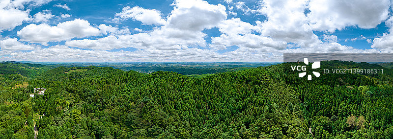安顺市平坝区大坡林场图片素材