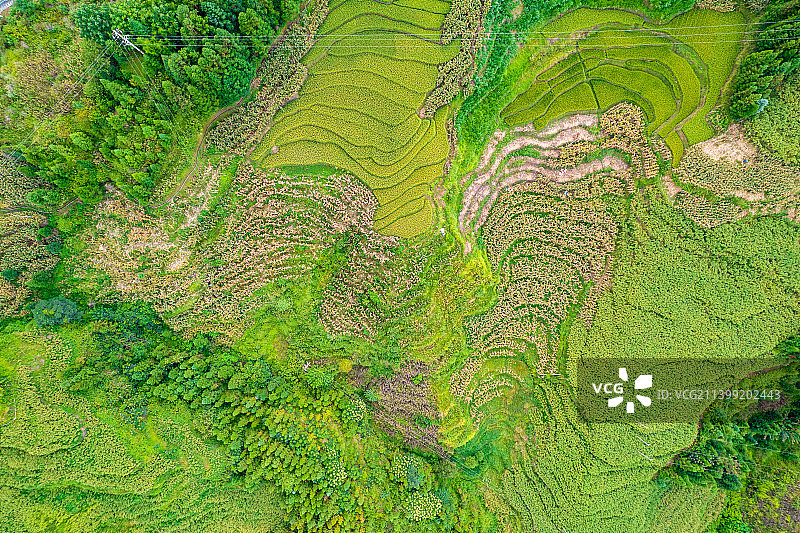 贵州省黔西南晴隆县梯田图片素材