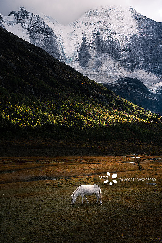 稻城亚丁图片素材