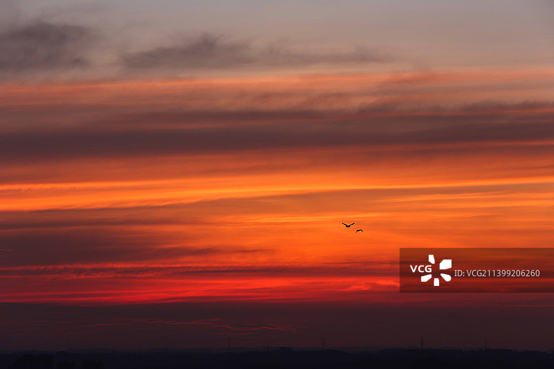 霞光与飞鸟图片素材