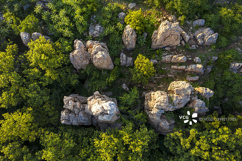 大连瓦房店-驼山西屏山-盆景山石图片素材