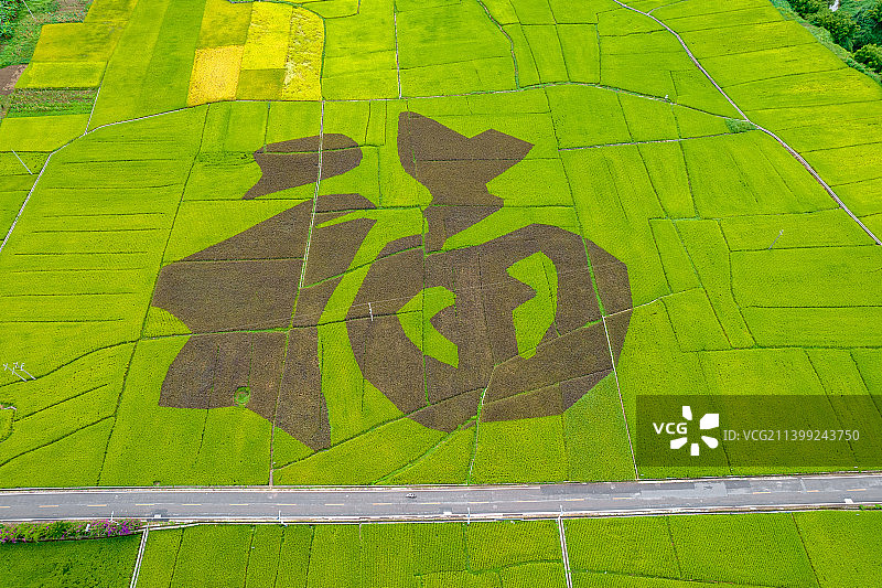 兴义万峰林福字田图片素材