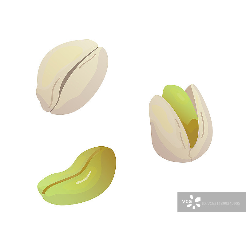 带壳开心果图标图片素材