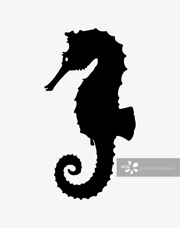 海马剪影海洋生物图片素材