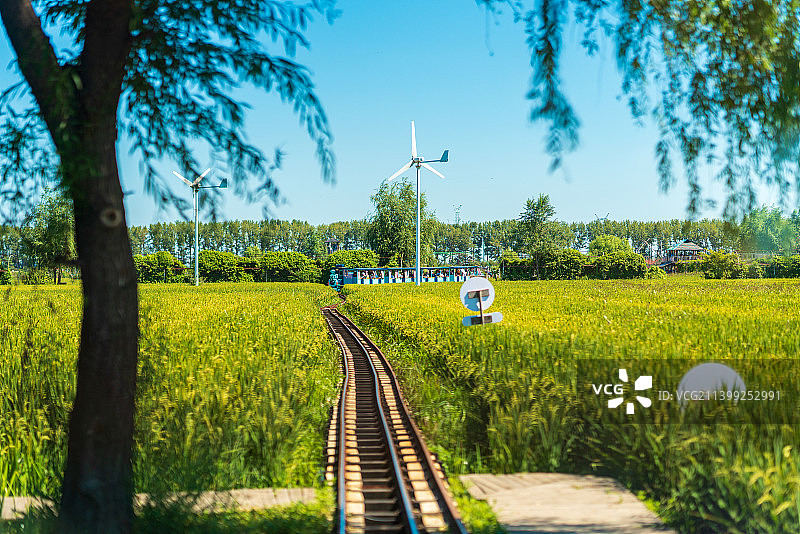 辽宁沈阳沈北新区稻梦空间景区的稻田与稻田画图片素材