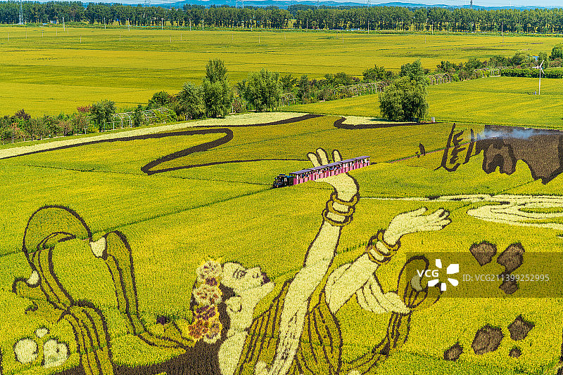 辽宁沈阳沈北新区稻梦空间景区的稻田与稻田画图片素材