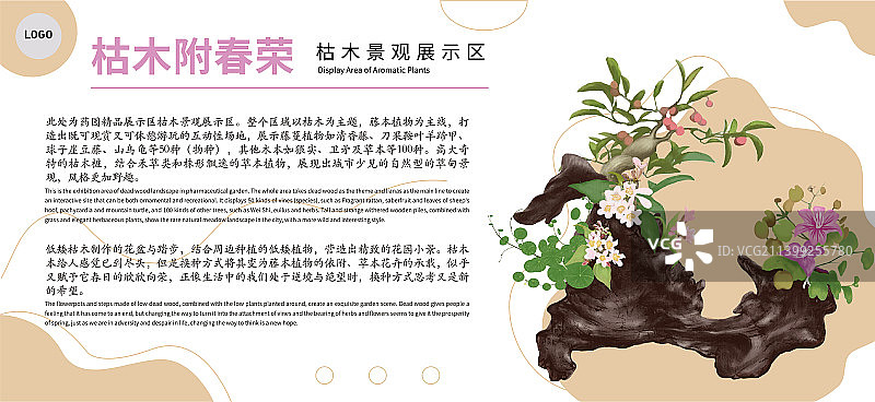 植物园枯木区解说牌图片素材
