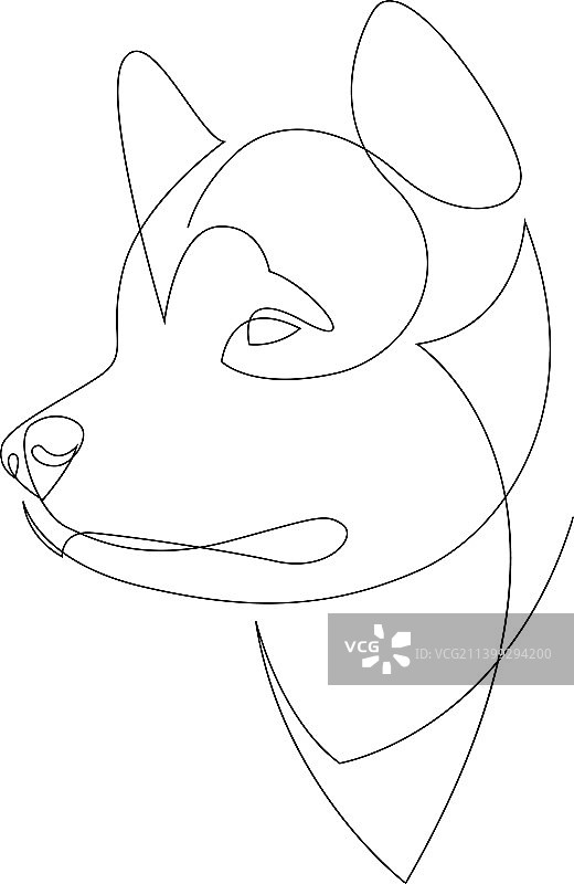 阿拉斯加马拉穆特犬单线肖像图片素材