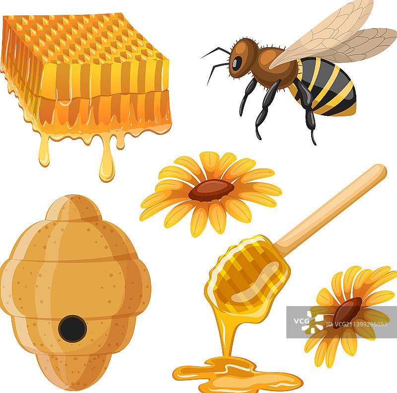 卡通蜜蜂套装图片素材