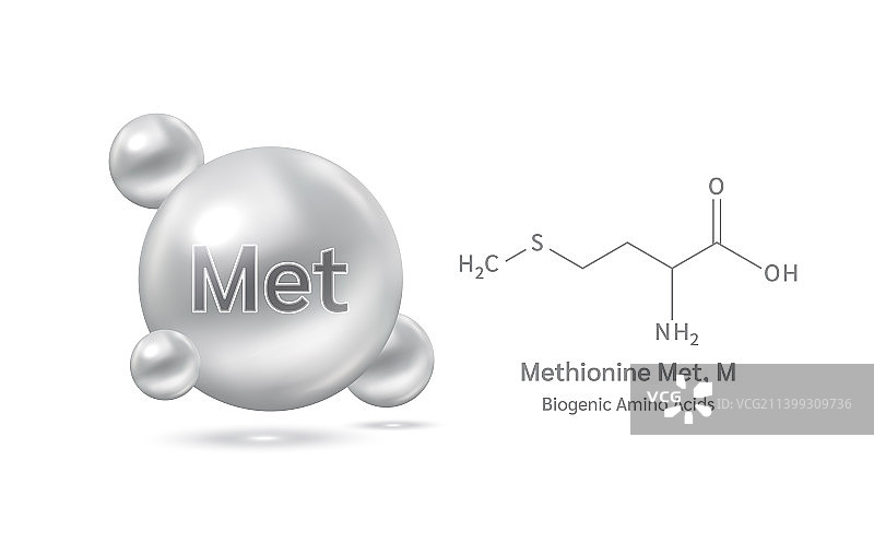 重要的氨基酸蛋氨酸图片素材