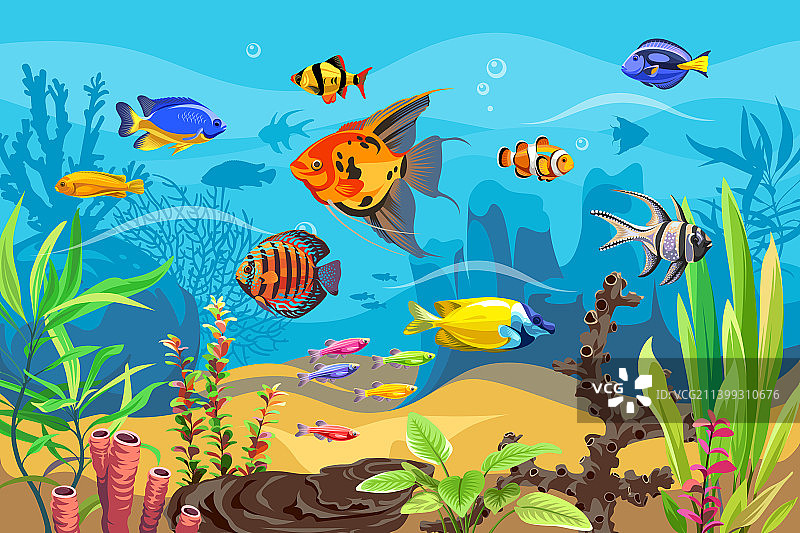 鱼类无缝图案图片素材