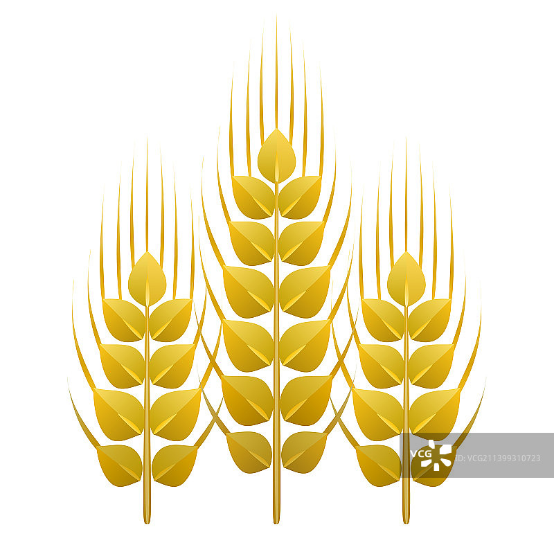 三株农业小麦元素图片素材