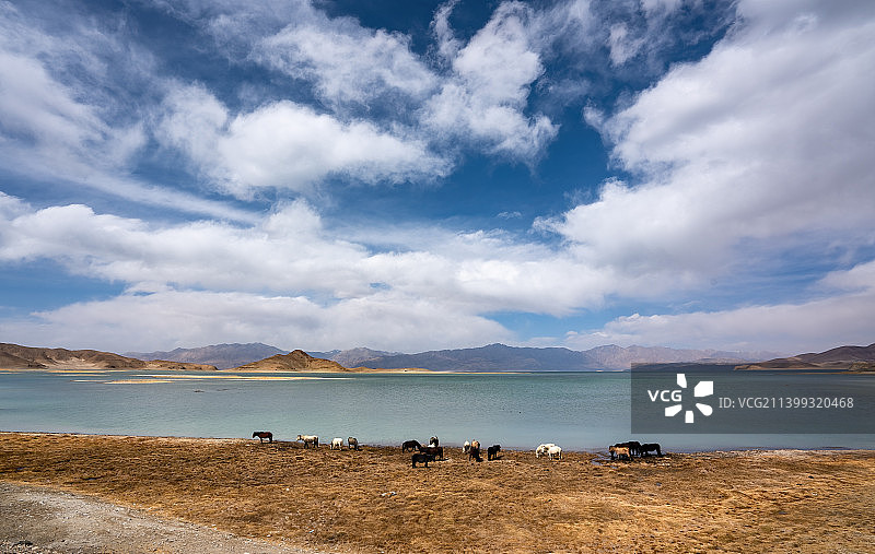 班公湖 • 辽阔水域 • 西藏阿里环线图片素材